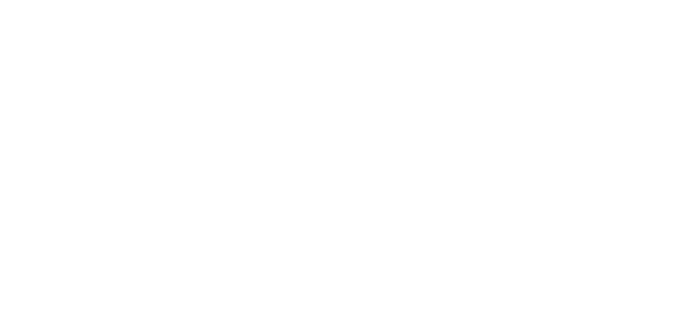 SHOEI PREMIUM HELMETS