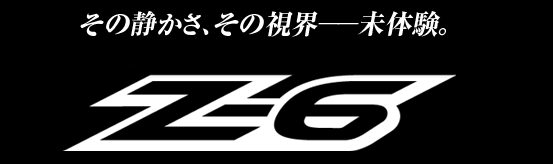 Z-6 ̐ÂA̎E-̌